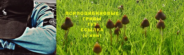 прущий лед Алексеевка