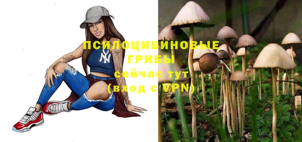 скорость Алексин