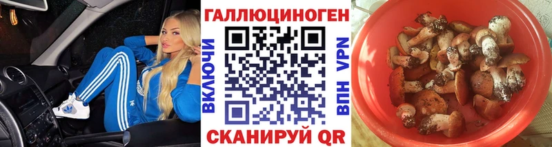 darknet как зайти  Салехард  Псилоцибиновые грибы мухоморы 